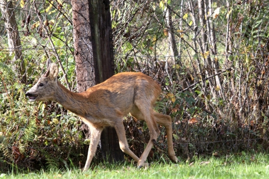 ...uvazneny a zaxraneny...