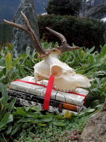 ...stale ma miluje...