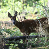 ...zastihla ma nepripraveneho...