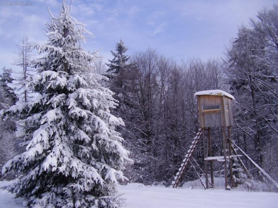 ...tu skonal uz nejeden diviacik...