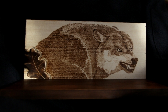 ...podlozka pod vlciu lebku...