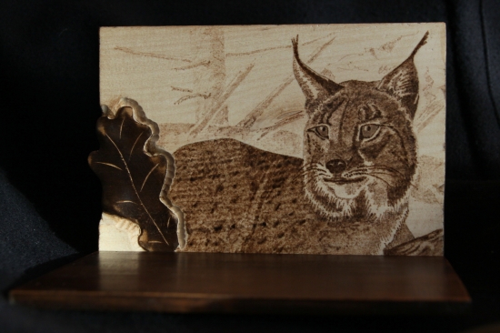 ...podlozka po lebku z rysa...