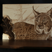 ...podlozka po lebku z rysa...