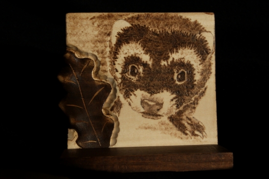 ...podlozka pod tchoriu lebku...