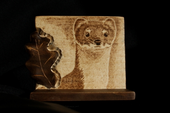 ...podlozka pod lebku hranostaja...