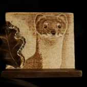 ...podlozka pod lebku hranostaja...