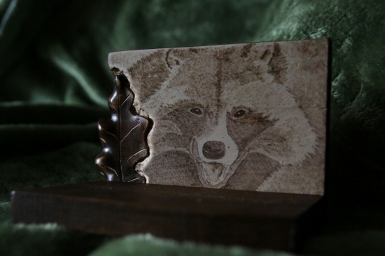 ...podlozka pod lebku  psika medvedikoviteho...