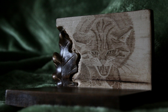 ....pod divu mačku...