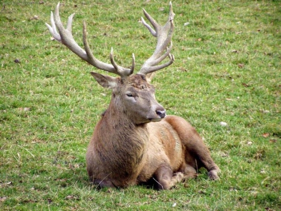 ...v novembry a este aj zatrubil...