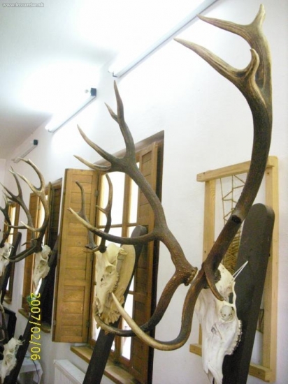 Pz Stary diel Vyxylovka