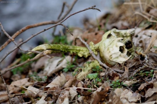 ...moj prvy v zivote...