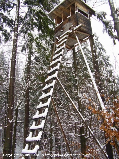 poľovnícka kazateľnica