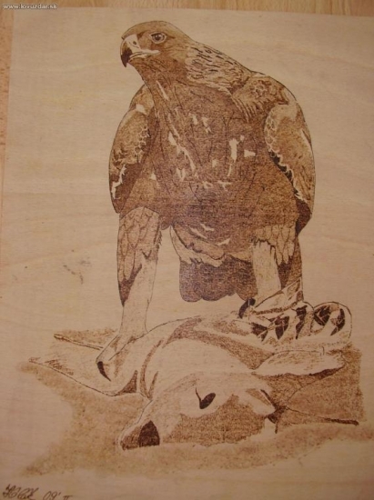 ...z fotky p.Godiho...