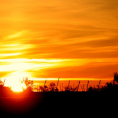 ...rano v xmelnici...