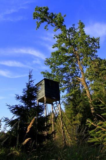 Grubangersky posedik