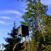 Grubangersky posedik