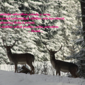 ...prve danieliky... :D