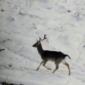 ...dnesny vareskarik ...