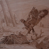 ..najskor ja!... 38x32