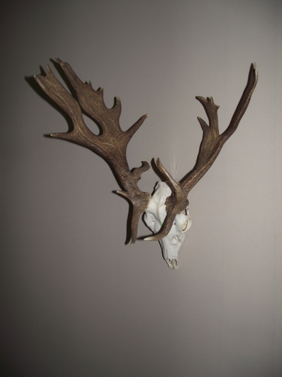 trochu zmeny z muflonikov :-)