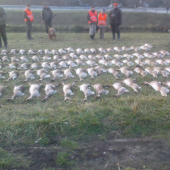 Po peknej poľovačke