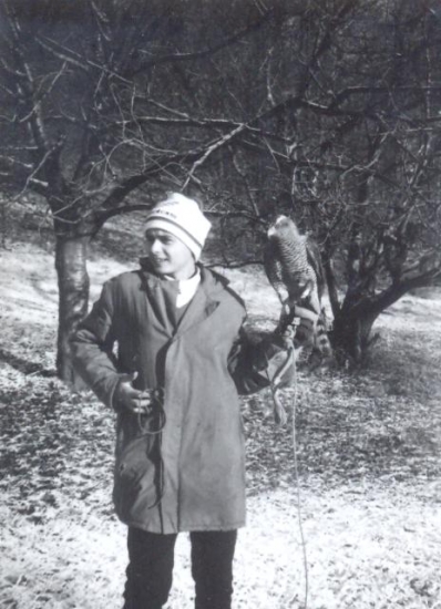 Gušto