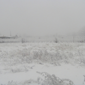 aj na dolniakoch býva niekedy takáto zima