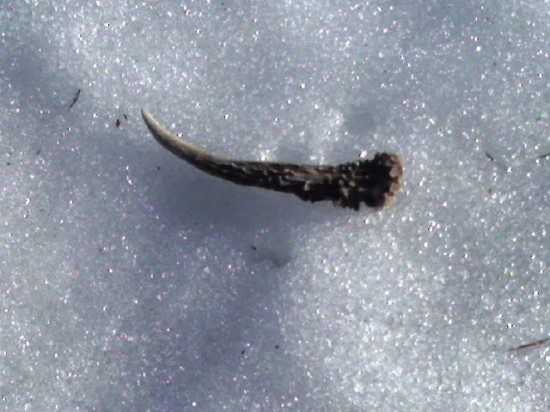 moj prvy zhod v zivote