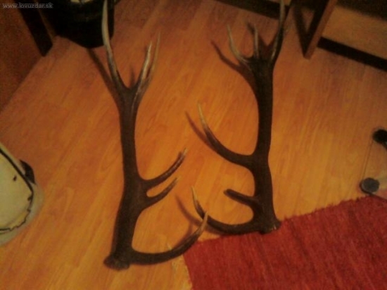 nepravidelny 14-torak