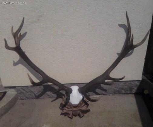 nepravidelny 14-torak