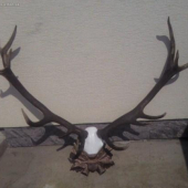 nepravidelny 14-torak