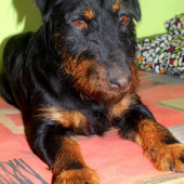 Náš jagín :-)