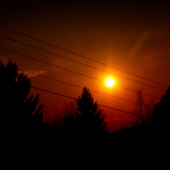 Sluneční nota na lince....