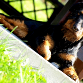 Věrná modelína :-)