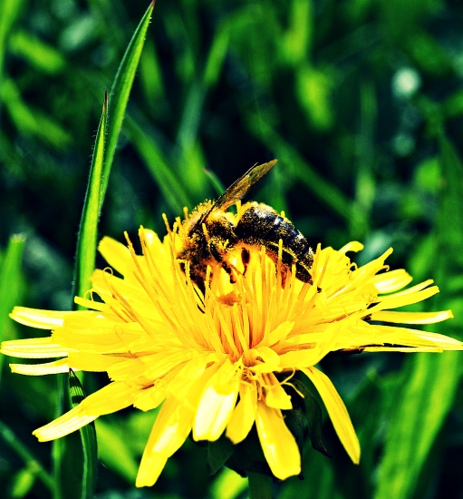 Na pa..pa..mpelišce :-)