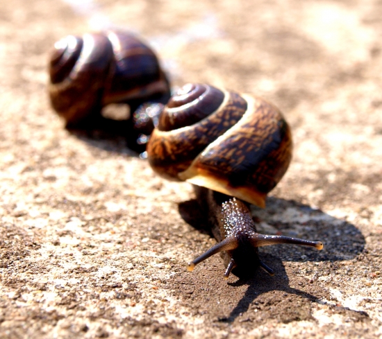 Co je absolutní alkoholismus? :-)