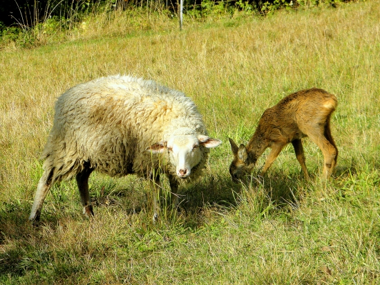 Na návštěvě..