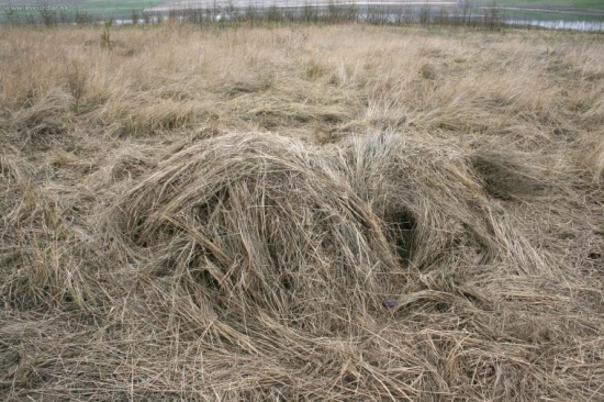 Úkryt pro selata - stavba bachyně