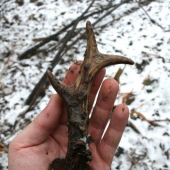 Kamarádův shoz nalezený 31.12.