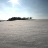 Po dlouhé době konečně sluníčko:-)