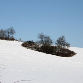 Krásný slunečný den