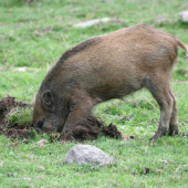 Kdo hledá ten najde