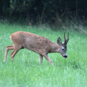 Mňam,to byla dobrota.