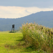 Kazatelna u orobince