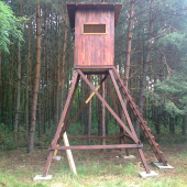 nový posed
