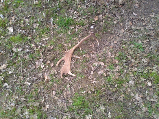 moj prvy danči zhod!