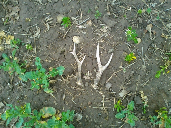 štastný velký piatok!