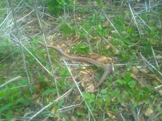 co je male, to je pekne!