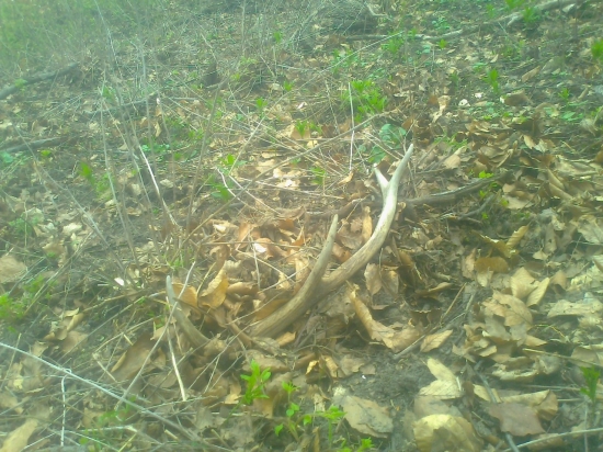 starsi,ale aj ten potesil!