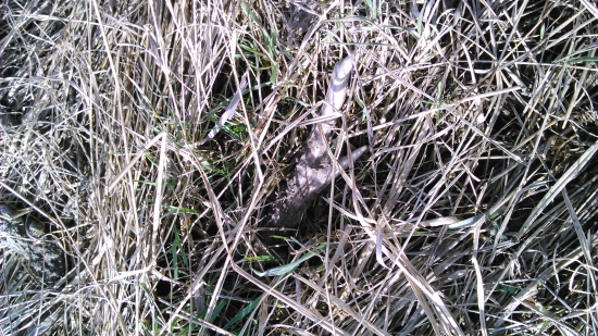 Víkendové šťastie